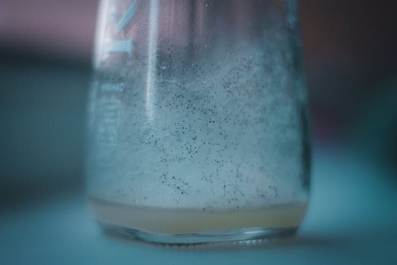 James Okafor, Customer Experience Manager at Via 313